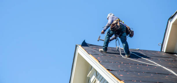 Best Storm Damage Roof Repair  in Platte City, MO